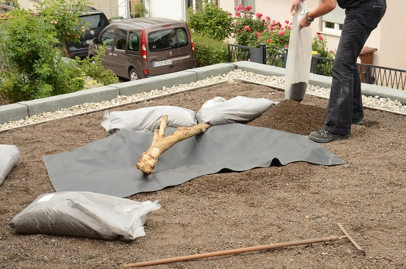 Bauder Grndach Biotop-Paket