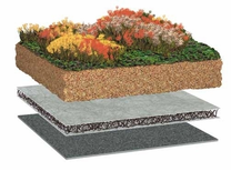 Bauder_Gruendach_Standard-Paket_009005001001001_1.JPEG