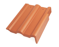 Braas_Frankfurter_Pfanne_Giebelstein_rechts_110_mm_Protegon_matt_004001002002002026001_1.JPEG