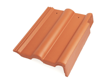 Braas_Frankfurter_Pfanne_Ortgang_rechts_88_mm_Protegon_matt_004001002002002001001_1.JPEG