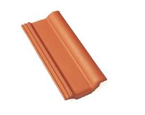 Braas_Frankfurter_Pfanne_halber_Normalstein_Protegon_matt_004001002002003001001_1.JPEG