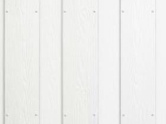 Eternit_Cedral_Lap_Fassadenpaneele_Structur_weiss_C_01_004004007001001001_1.JPEG
