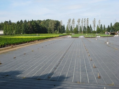 Unkrautvlies_Wurzelschutzfolie_157_qm_009028001001001_1.JPEG
